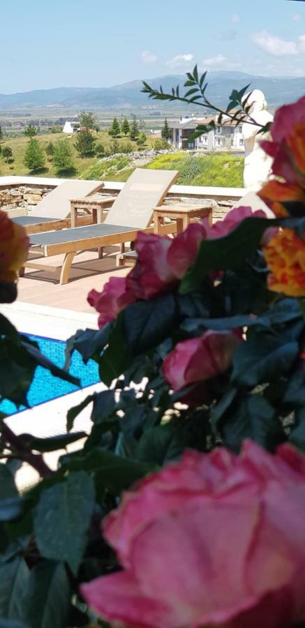 Vinifera Ephesus Hotel Selçuk Eksteriør billede